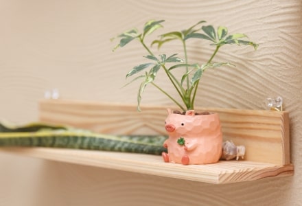 女性歯科医師による親身な対応と 明朗な料金体系